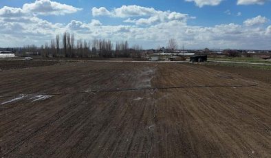 Çiftçiler tarlalarını 2 ay önce sulamaya başladı