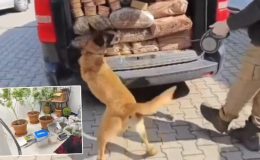 Uyuşturucu satıcılarına geçit yok! 434 kişi yakalandı
