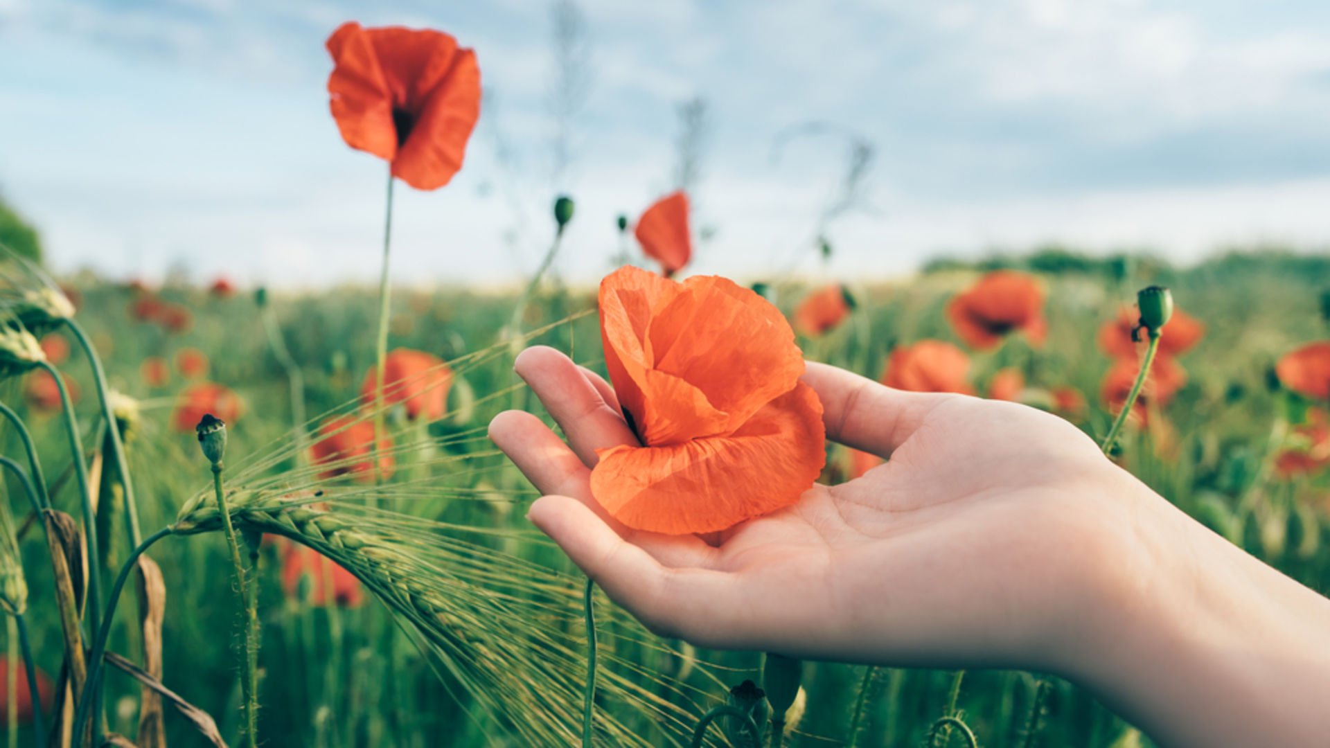 Ayrılık sonrası kendini yeniden keşfetmenin 8 yolu