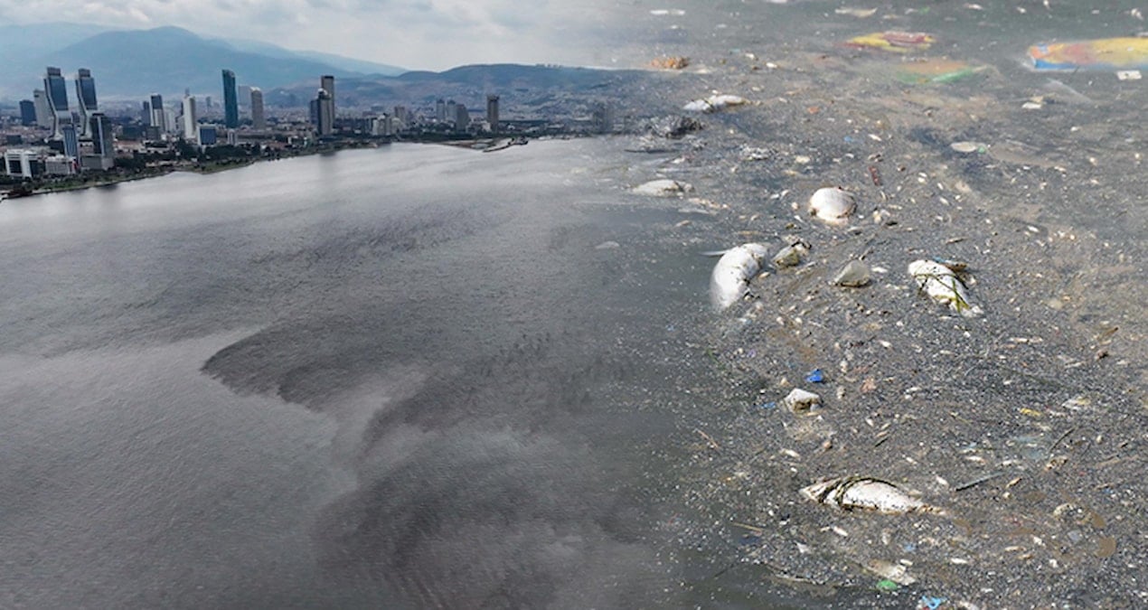 İzmir Körfezi’nde balık ölümleri korkuttu, başsavcılık ‘kirlilik’ soruşturması başlattı