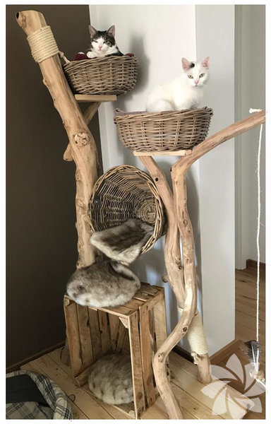 Kedi eşyaları yapımı