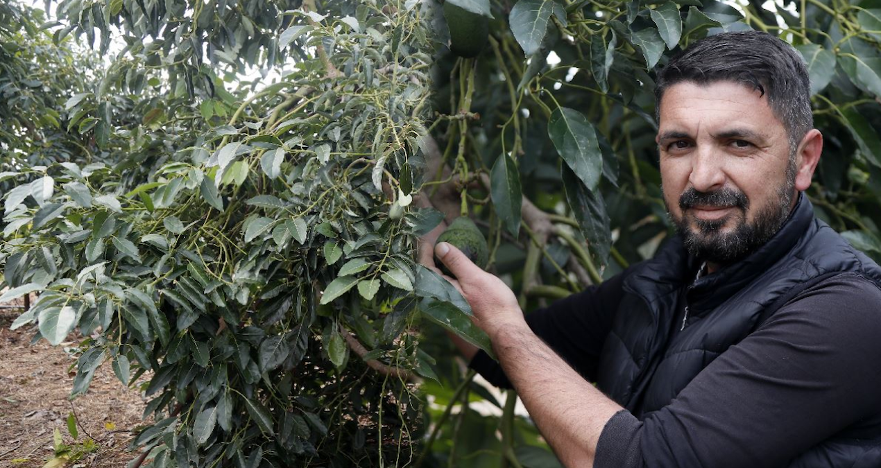 Bahçeye denemek için ekti şimdi 21 ton ürün topluyor: Hem de sıfır maliyetli