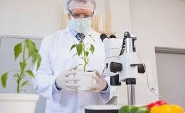 Uniqem İle Kimyasal Çözümler