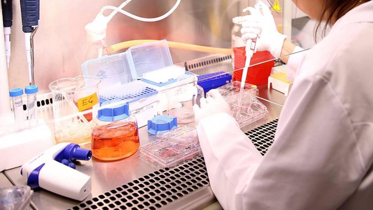 ABD, kanser veri tabanlarından birini Çin’deki araştırmacıların erişimine kapattı